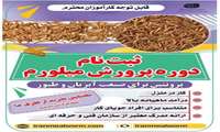 با تولید میلورم کسب‌ و کار خود را در خانه شروع کنید!
